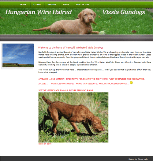 Hungarian Wire Haired Vizsla gundogs