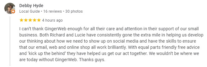 fire work review for gingerweb